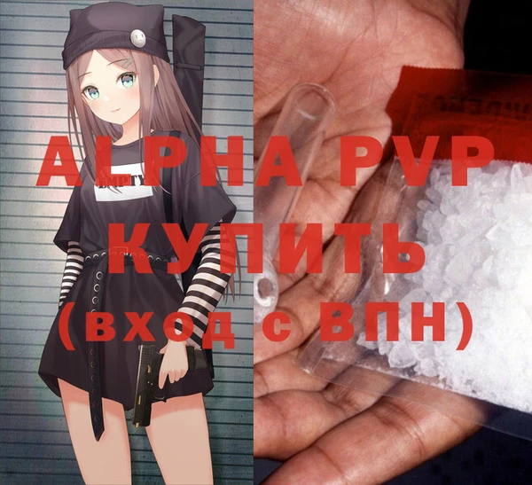 молекула духа Медвежьегорск