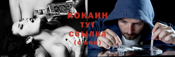 ПСИЛОЦИБИНОВЫЕ ГРИБЫ Медногорск