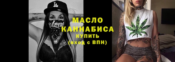 молекула духа Медвежьегорск