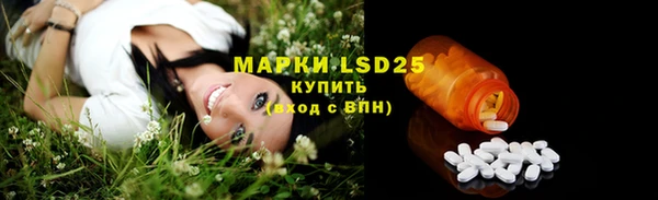 молекула духа Медвежьегорск
