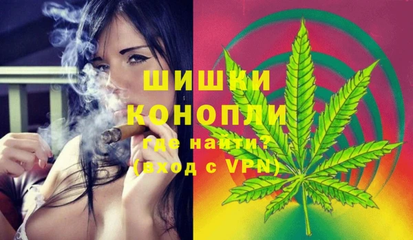 ПСИЛОЦИБИНОВЫЕ ГРИБЫ Медногорск