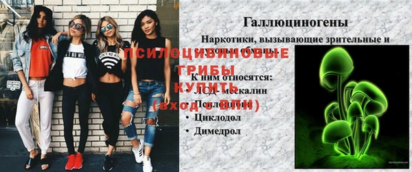 ПСИЛОЦИБИНОВЫЕ ГРИБЫ Медногорск