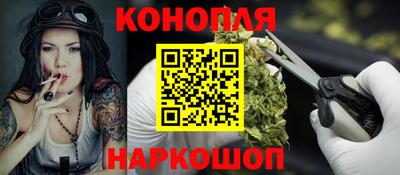прущие грибы Гагарин