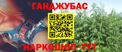 прущие грибы Гагарин