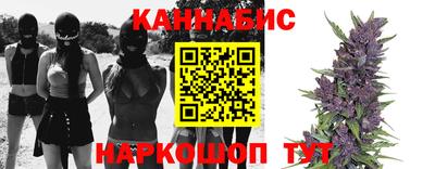 прущие грибы Гагарин