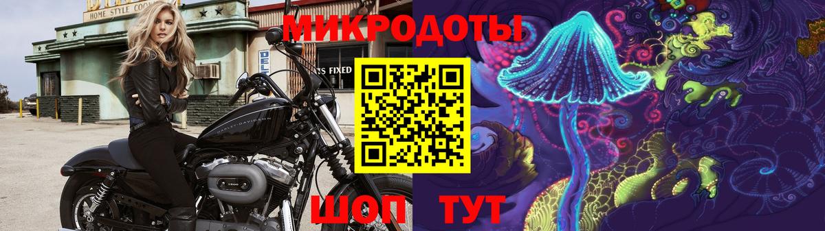 Псилоцибиновые грибы Psilocybine cubensis  Сунжа  Псилоцибиновые грибы мицелий 