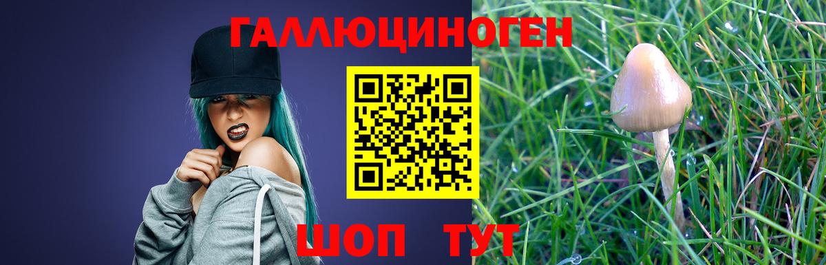 Галлюциногенные грибы ЛСД Сунжа