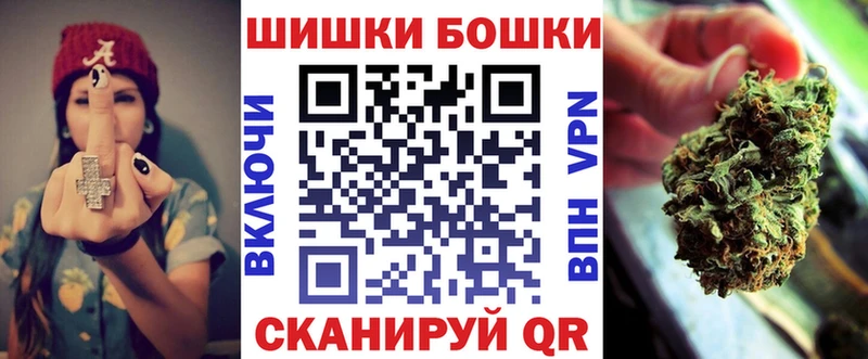 Конопля сатива  Сунжа 